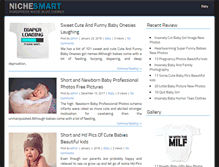 Tablet Screenshot of pregnancy-resources.com